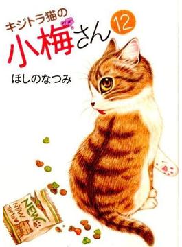 キジトラ猫の小梅さん １２ （コミック）(ねこぱんちコミックス)