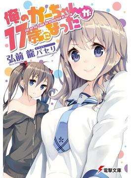 【全1-2セット】俺のかーちゃんが17歳になった(電撃文庫)