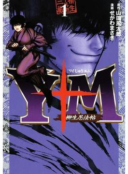 【1-5セット】Ｙ十Ｍ（ワイじゅうエム）～柳生忍法帖～