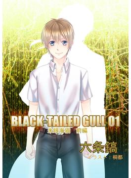 【全1-4セット】BLACK-TAILED GULL(アプリーレ文庫)