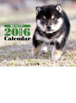 2016年ミニカレンダー 柴犬