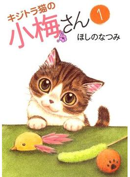 【1-5セット】キジトラ猫の小梅さん(ねこぱんちコミックス)