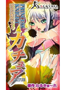 【全1-12セット】プリンセスナイト カチュア