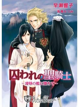 【期間限定価格】囚われの聖騎士～凌辱の檻に堕ちて～【書下ろし】(ジュリアンノベルス)