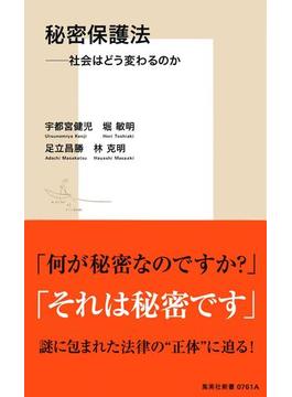 秘密保護法――社会はどう変わるのか(集英社新書)