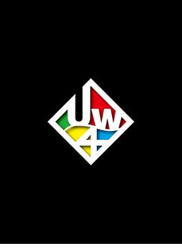 U_WAVE公式ツアーパンフレット U_WAVE TOUR 2013 フォースアタック
