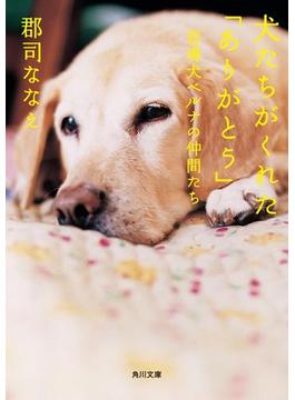 犬たちがくれた「ありがとう」　盲導犬ベルナの仲間たち(角川文庫)