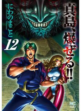 陣内流柔術流浪伝 真島 爆ぜる 12 漫画 の電子書籍 無料 試し読みも Honto電子書籍ストア