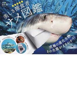 美しき捕食者サメ図鑑