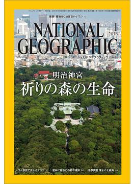 ナショナル ジオグラフィック日本版 2016年1月号
