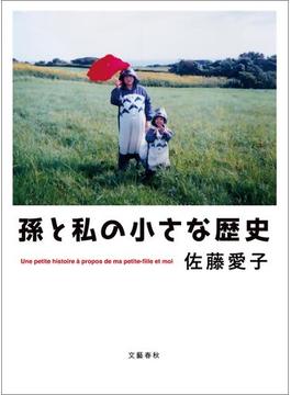 孫と私の小さな歴史(文春e-book)