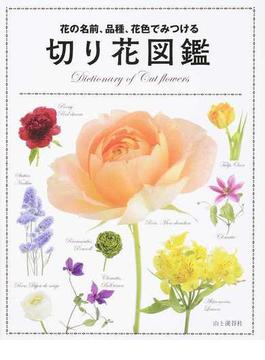 花の名前、品種、花色でみつける切り花図鑑