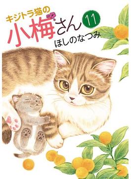 キジトラ猫の小梅さん（11）(ねこぱんちコミックス)