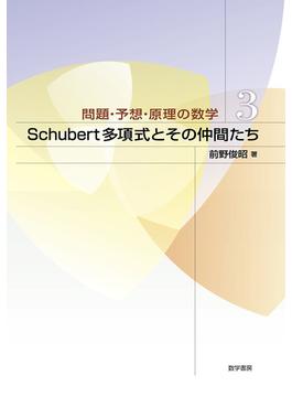 Schubert多項式とその仲間たち