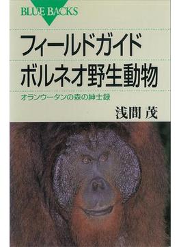 フィールドガイド ボルネオ野生動物 オランウータンの森の紳士録(講談社ブルーバックス)