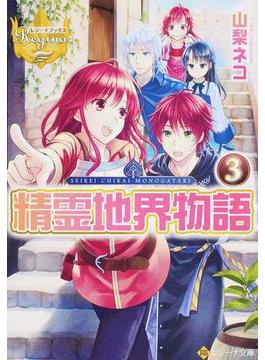 精霊地界物語 ３