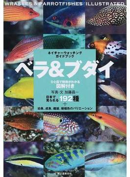 ベラ＆ブダイ 日本で見られる１９２種＋幼魚、成魚、雌雄、婚姻色のバリエーション ひと目で特徴がわかる図解付き