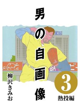 男の自画像 (3) 熱投編