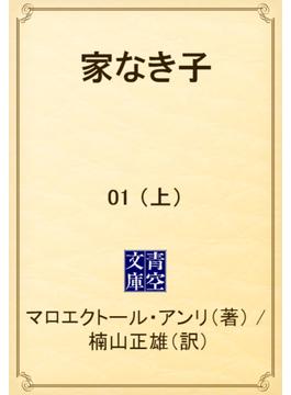 【全1-2セット】家なき子(青空文庫)