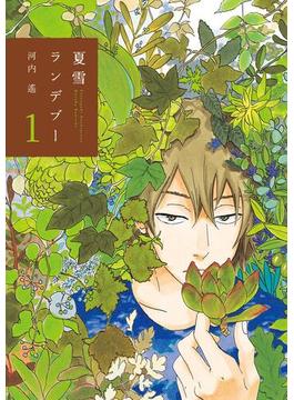【セット商品】 夏雪ランデブー 全4巻＋番外編　≪完結≫(FEEL COMICS)