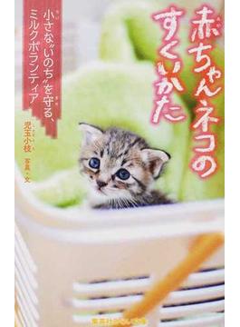 赤ちゃんネコのすくいかた 小さな“いのち”を守る、ミルクボランティア(集英社みらい文庫)
