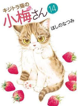 キジトラ猫の小梅さん（14）(ねこぱんちコミックス)