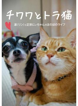 チワワとトラ猫 -凛と正宗にぃちゃんのほのぼのライフ-