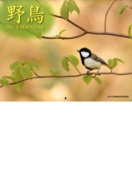 カレンダー '17 野鳥