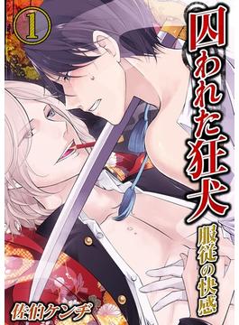 【セット商品】囚われた狂犬－服従の快感　1-2巻セット≪完結≫(BLスクリーモ)