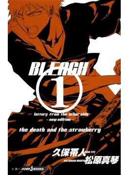 BLEACH letters from the other side ―new edition―(ジャンプジェイブックスDIGITAL)