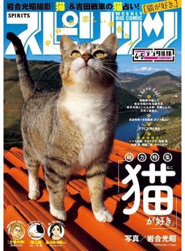 週刊ビッグコミックスピリッツ 2017年4・5合併号（2016年12月26日発売）