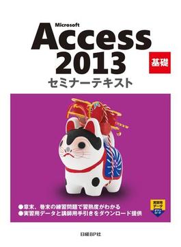 【期間限定価格】Microsoft Access 2013 基礎 セミナーテキスト