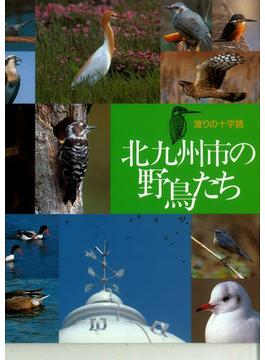 北九州市の野鳥たち