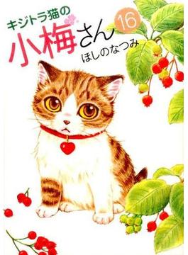 キジトラ猫の小梅さん １６ （コミック）(ねこぱんちコミックス)