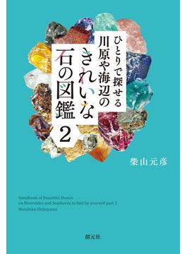 ひとりで探せる川原や海辺のきれいな石の図鑑２