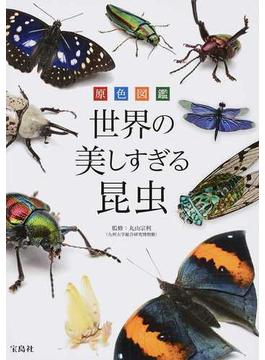 世界の美しすぎる昆虫 原色図鑑
