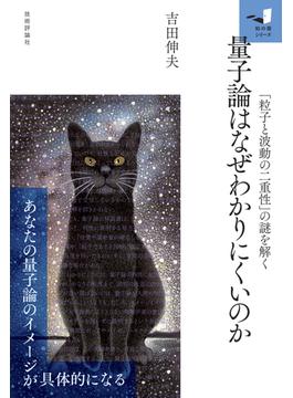 量子論はなぜわかりにくいのか 「粒子と波動の二重性」の謎を解く