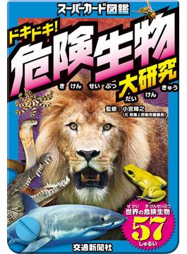 ドキドキ 危険生物大研究の通販 小宮 輝之 紙の本 Honto本の通販ストア ドキドキ 危険生物大研究の通販 小宮 輝之 紙の本 Honto本の通販ストア