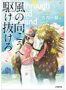 風の向こうへ駆け抜けろ(小学館文庫)