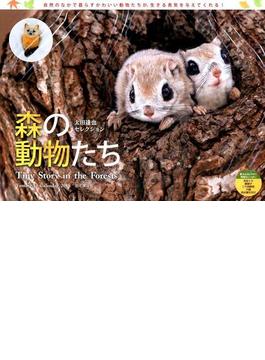 カレンダー 2018 森の動物たち　太田達也セレクション