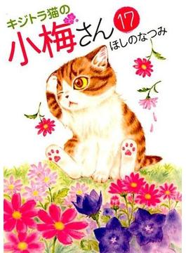 キジトラ猫の小梅さん １７ （コミック）(ねこぱんちコミックス)