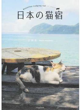 日本の猫宿