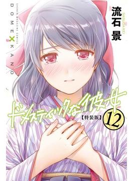 ドメスティックな彼女　特装版（12）
