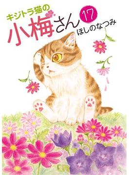 キジトラ猫の小梅さん（17）(ねこぱんちコミックス)