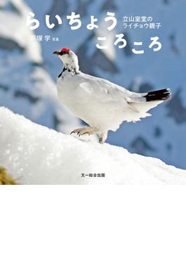 らいちょうころころ