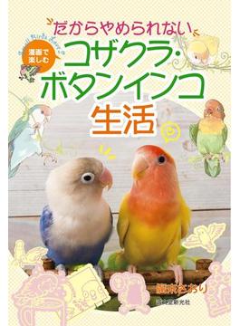 だからやめられない コザクラ・ボタンインコ生活