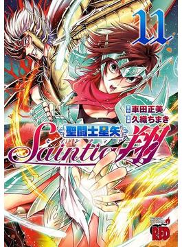 聖闘士星矢セインティア翔　11(チャンピオンREDコミックス)
