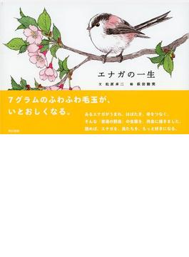 エナガの一生