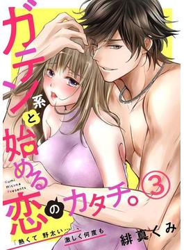 ガテン系と始める恋のカタチ。～「熱くて野太い…」、激しく何度も～3(黒ひめコミック)