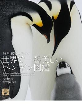 絶景・秘境に息づく世界で一番美しいペンギン図鑑